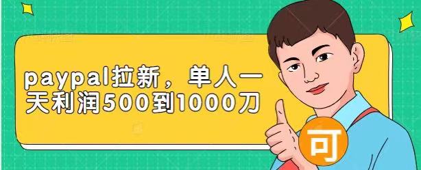 Paypal拉新赚美刀项目，单人一天利润500-1000刀【视频课程】缩略图